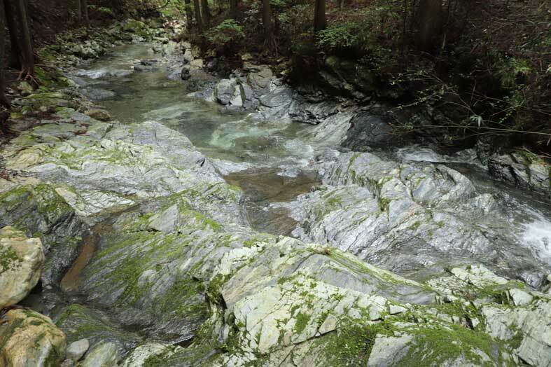 光る沢 シルバー気ままの人生